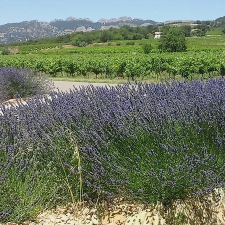 La Dentelliere 3*