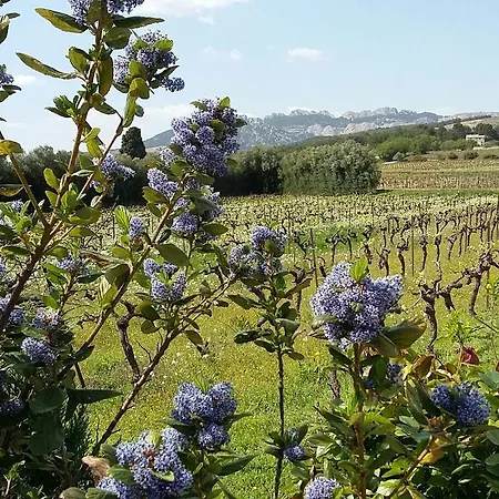 Bed and breakfast La Dentelliere